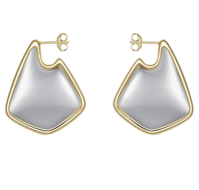 Gold and Silver Earrings